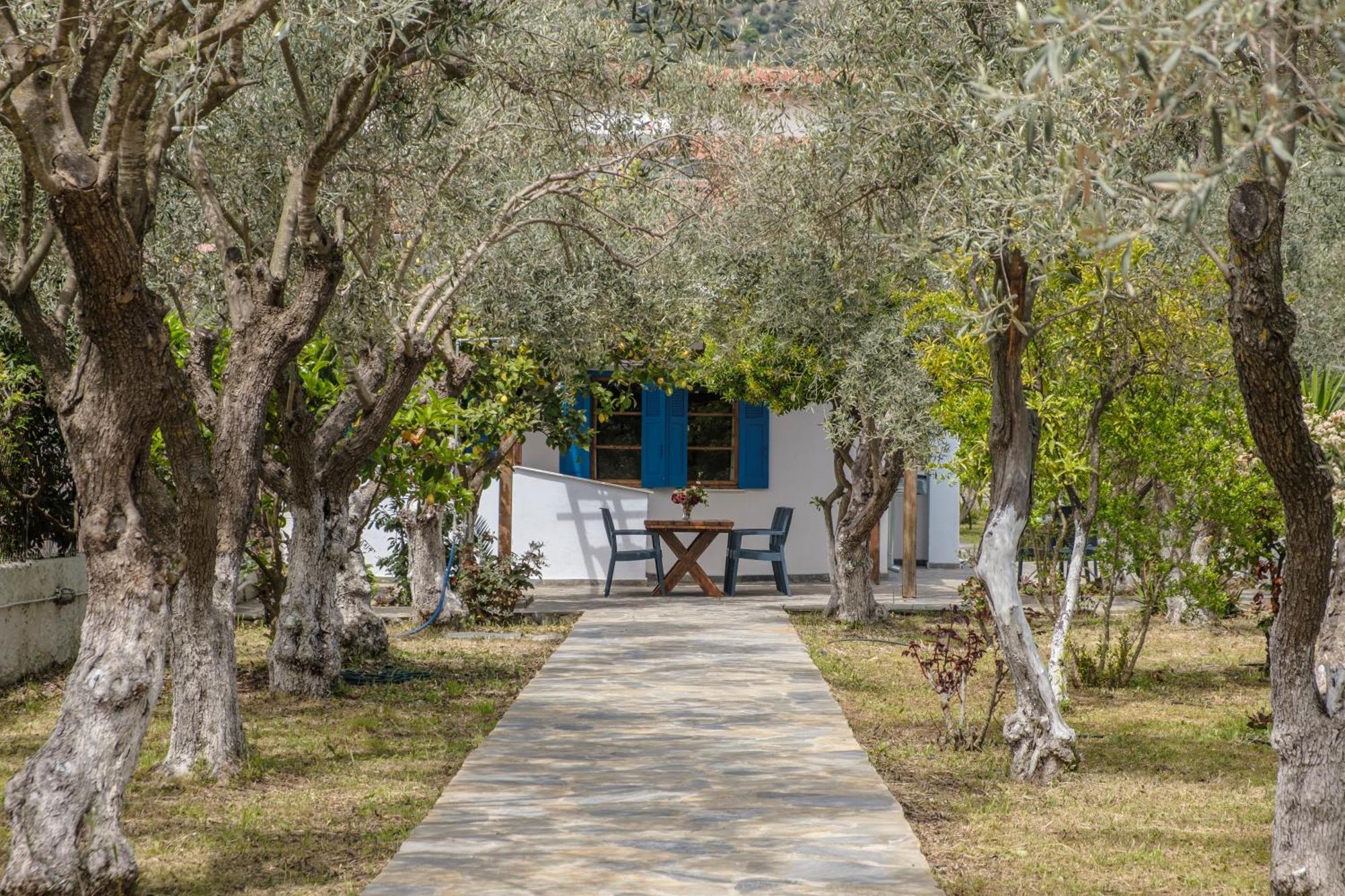 Kritharia  Seaside Resort מראה חיצוני תמונה